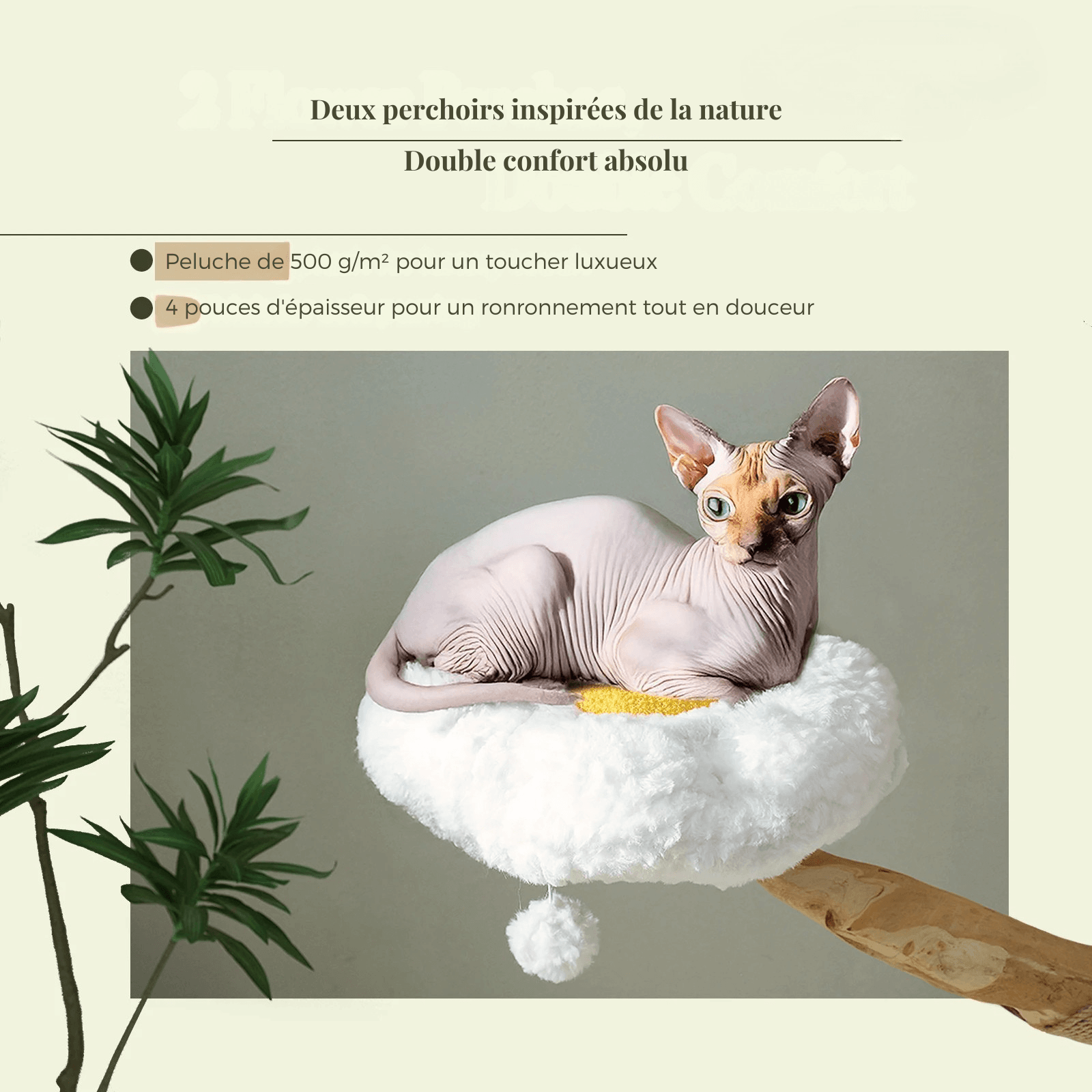 SAFARI™ — Arbre à chat en bois naturel avec hamacs & plateformes douillettes