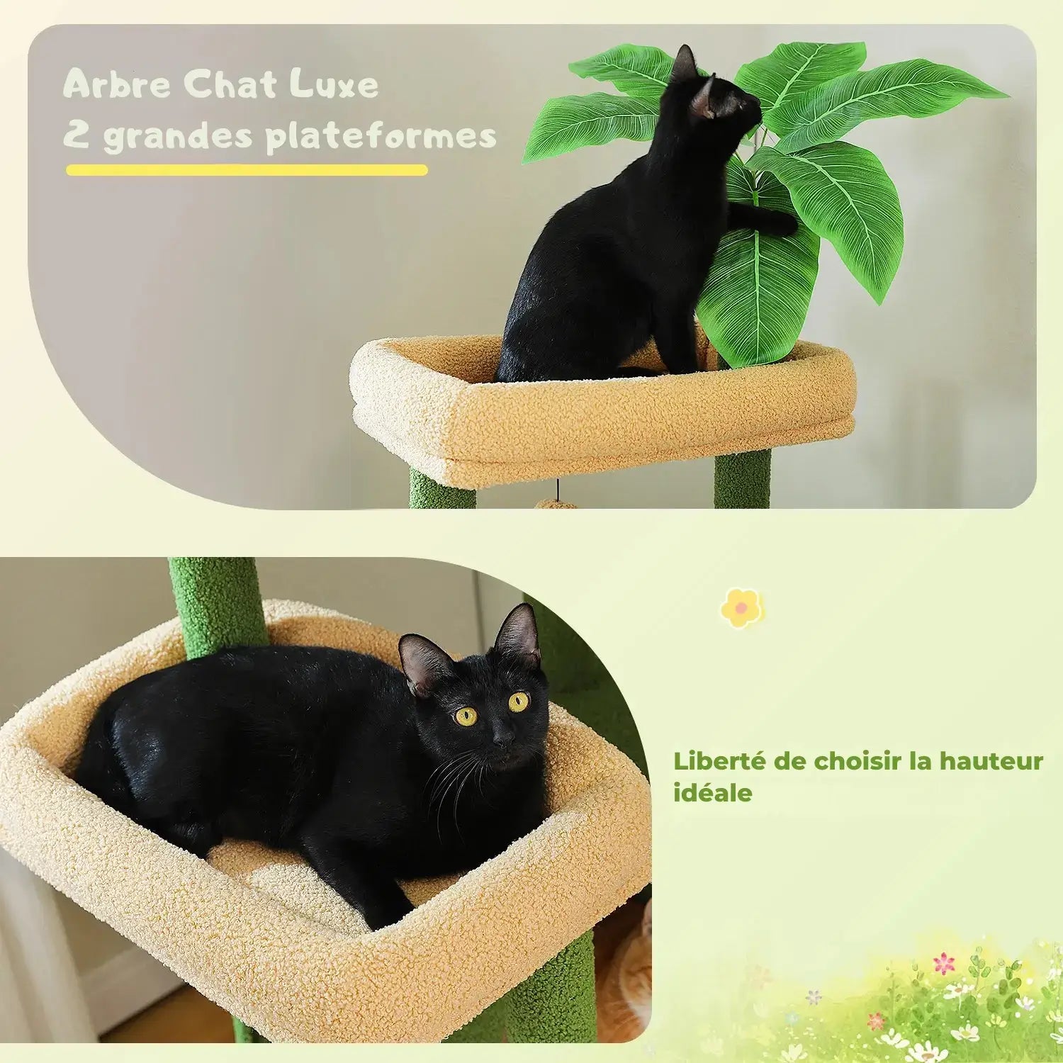 EMPIRE™ — Arbre à Chat XXL Signature Multi-Niveaux