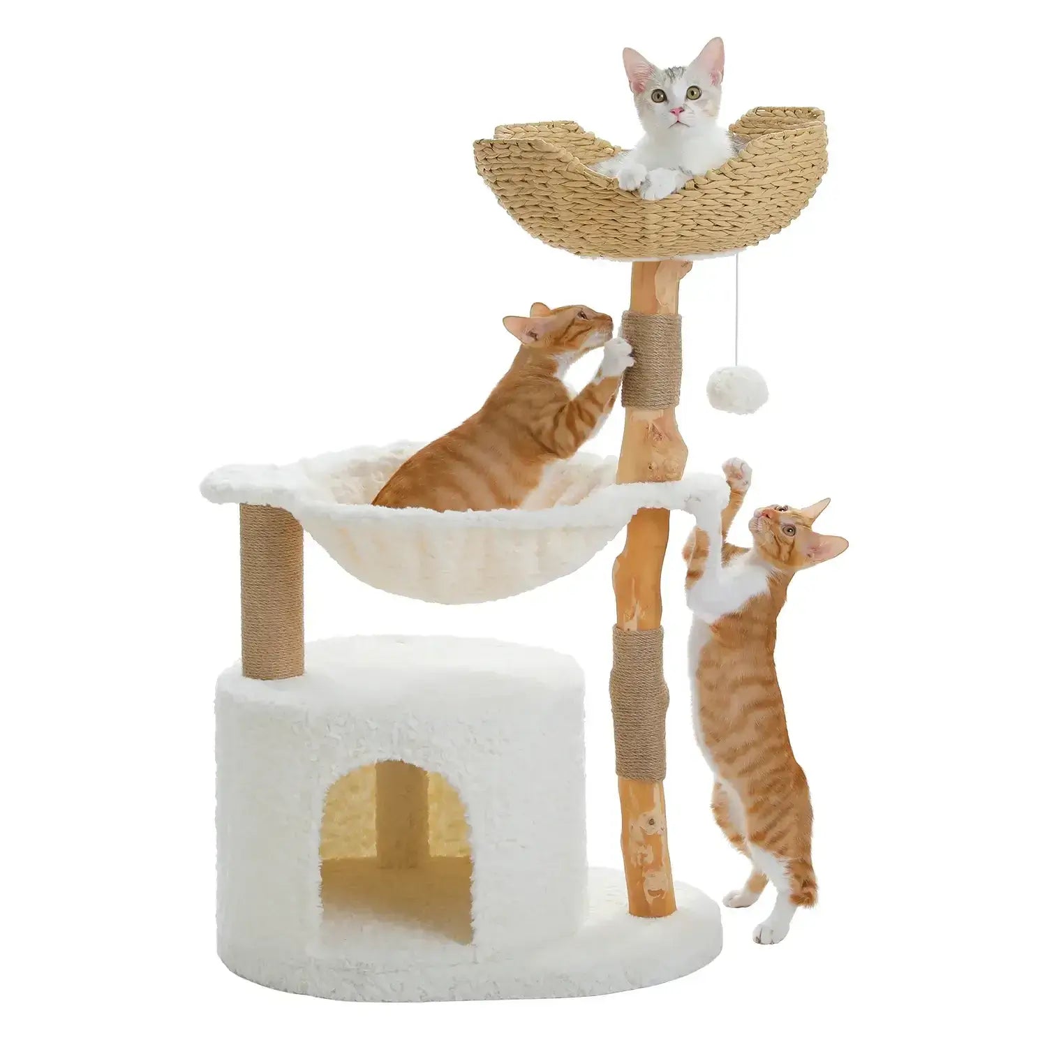 Arbre à Chat Bois