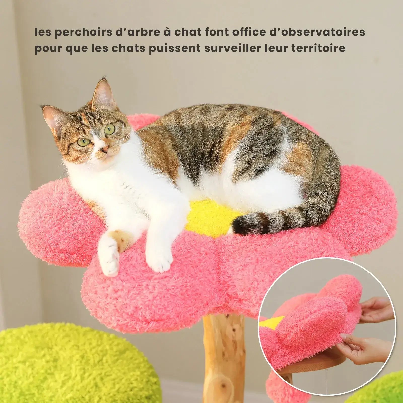 FLORA™ — Arbre à Chat Fleuri en Bois Naturel avec Condo & Plateformes Douces