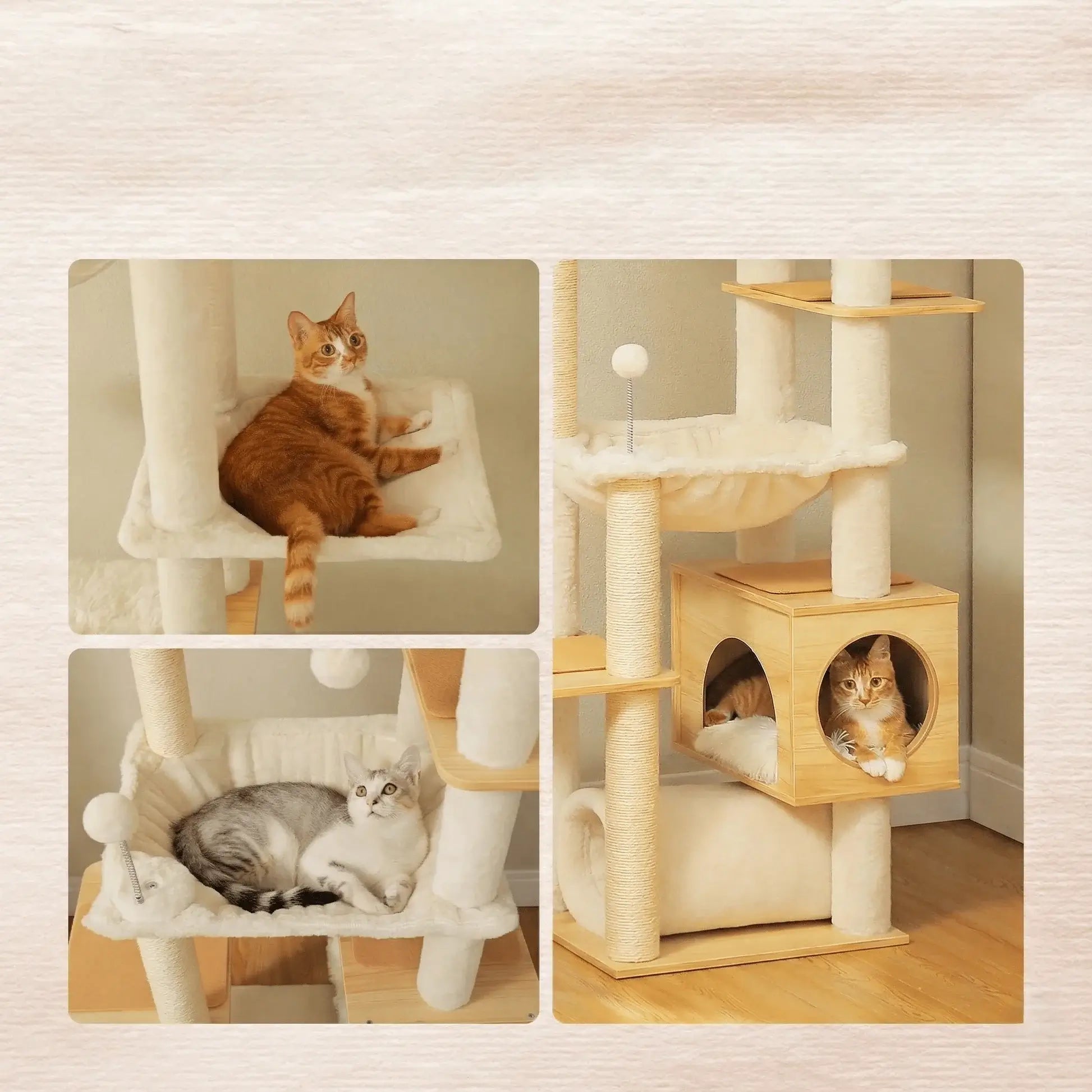 VÉGA™ — Arbre à Chat Sol-Plafond