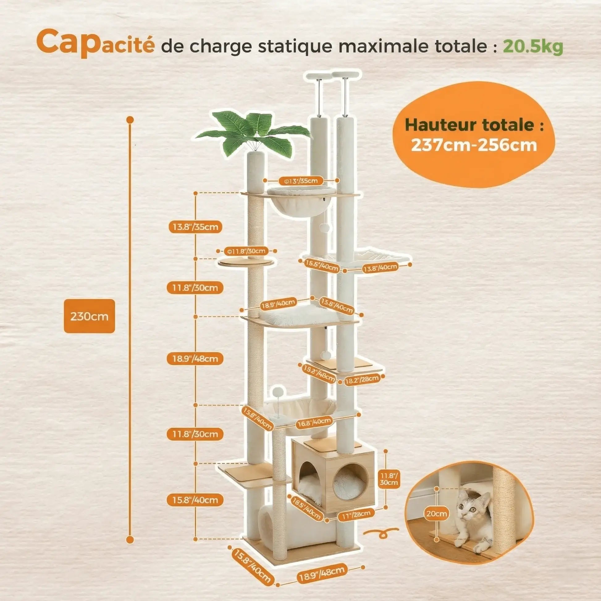 VÉGA™ — Arbre à Chat Sol-Plafond