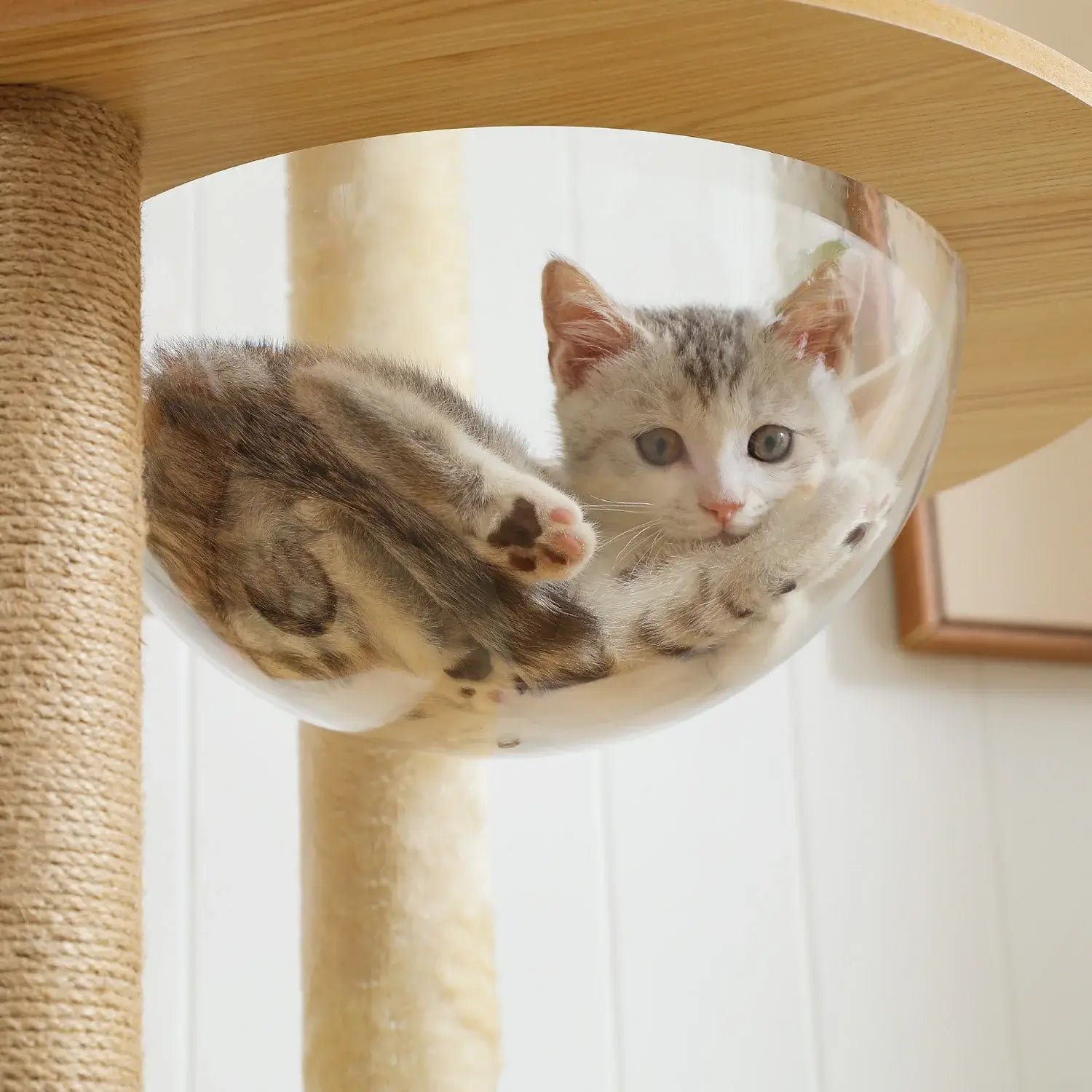 Arbre à chat bois naturel XXL stable avec niche et plateformes – CORTEX