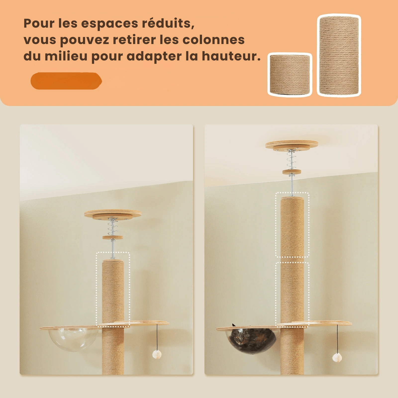 arbre a chat mural