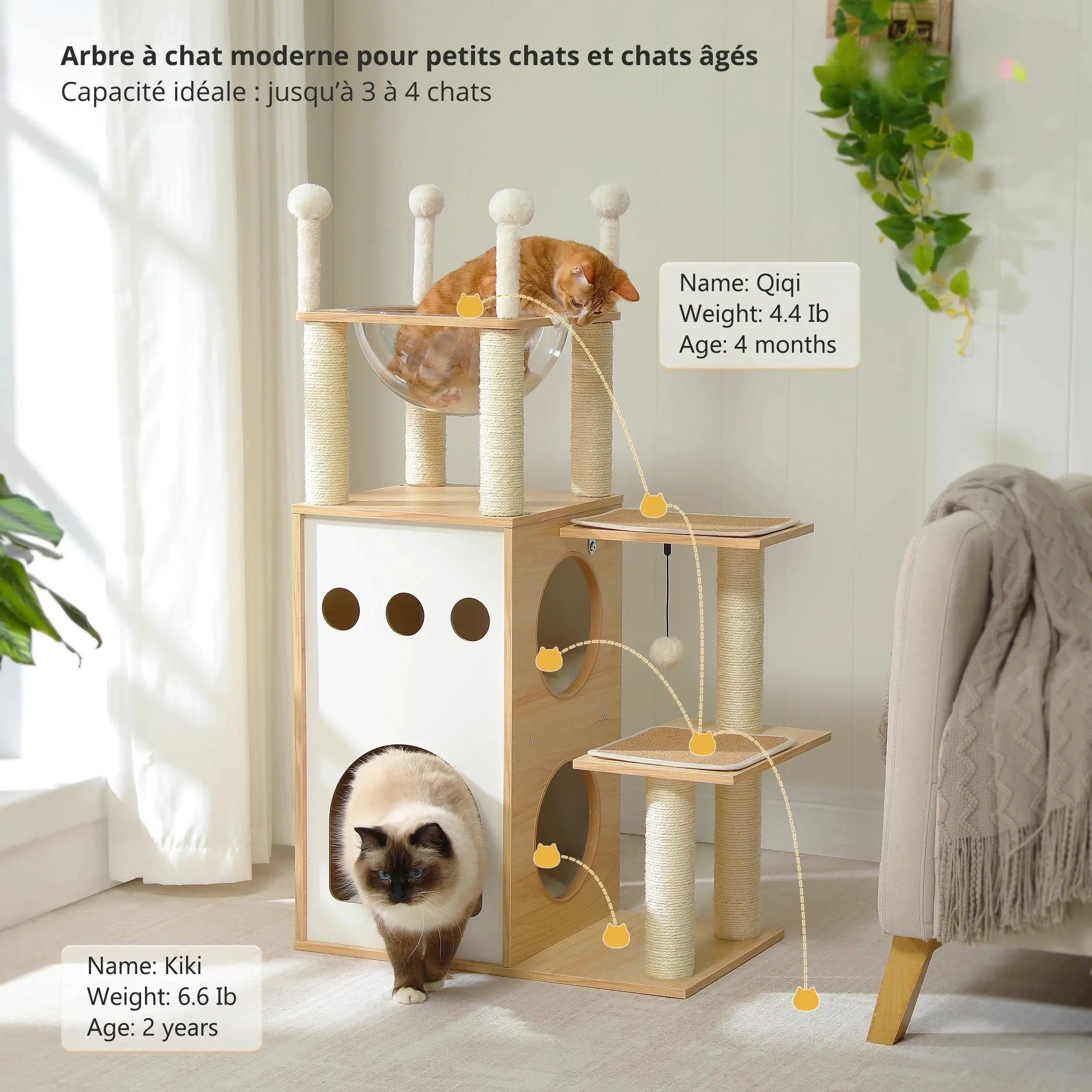 arbre a chat design