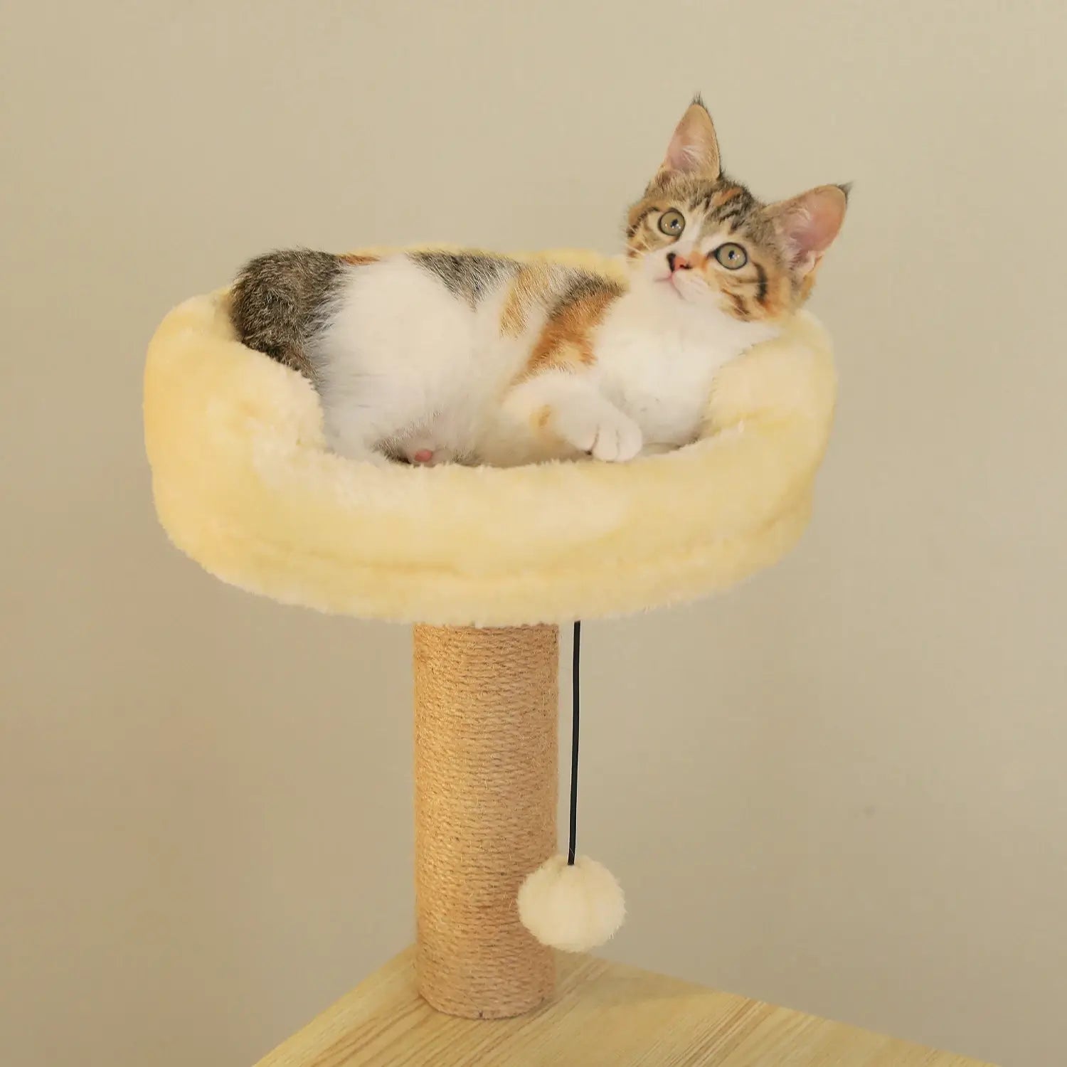 Arbre à chat bois naturel XXL stable avec niche et plateformes – CORTEX