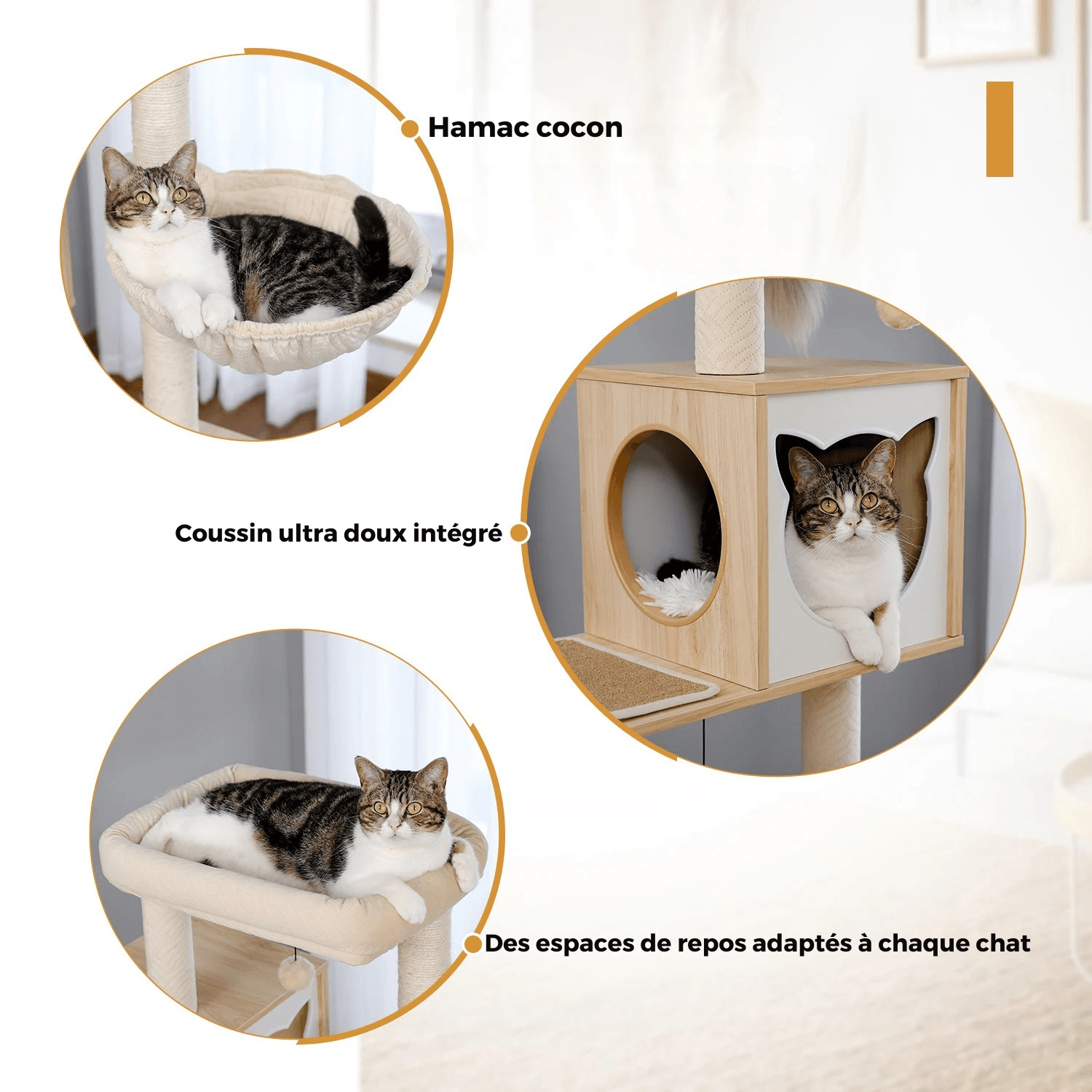 Arbre à Chat Design Bois avec Niche & Hamac | AXIS™ Moderne & Stable