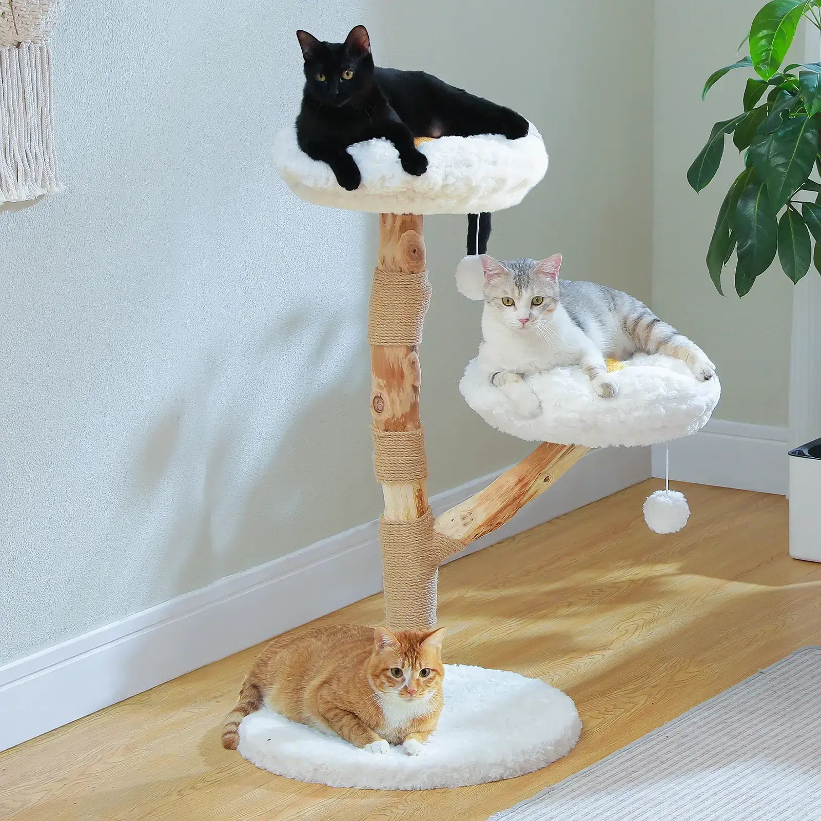 CORTEX™ — Arbre à Chat en Bois Naturel avec Plateformes Fleur & Griffoir Sisal