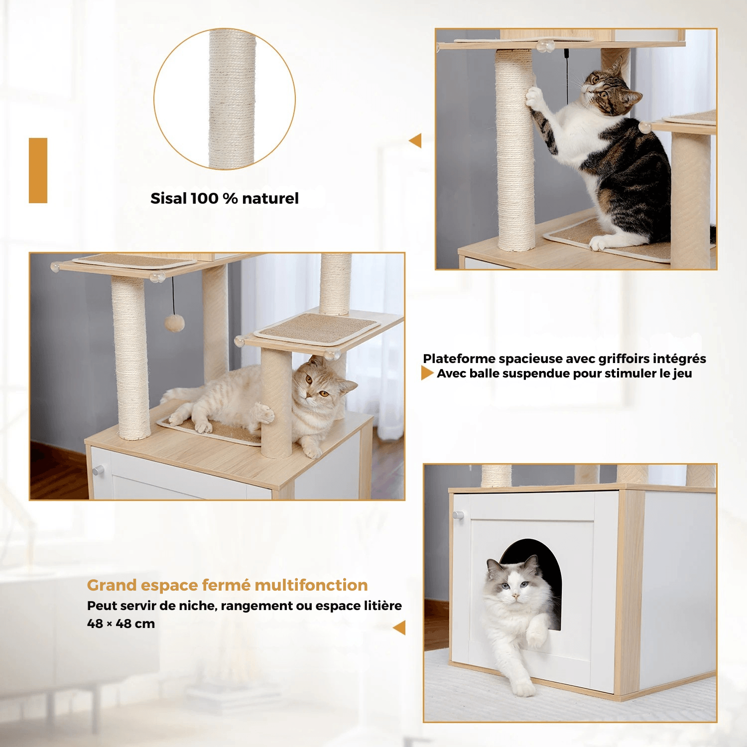 Arbre à Chat Design Bois avec Niche & Hamac | AXIS™ Moderne & Stable