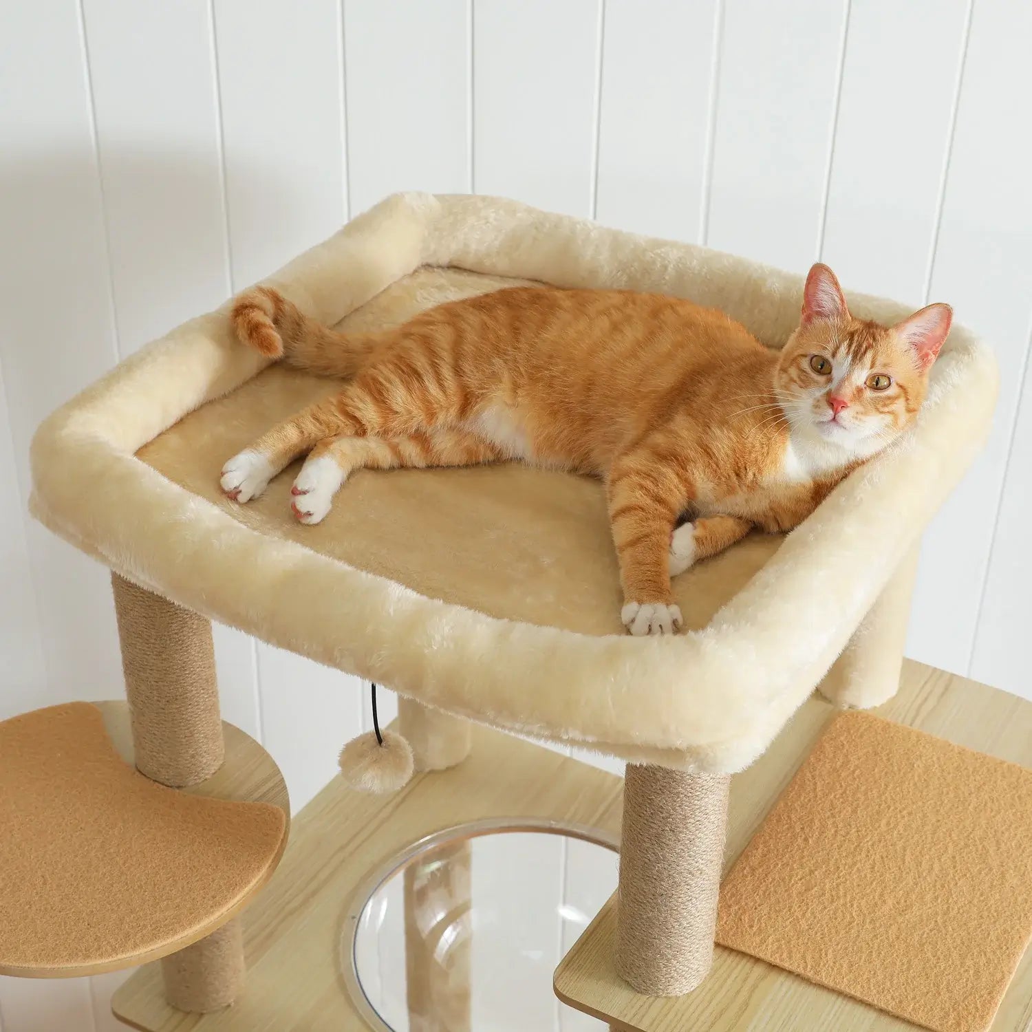 MANOIR™ — Arbre à Chat XXL Multi-Niveaux