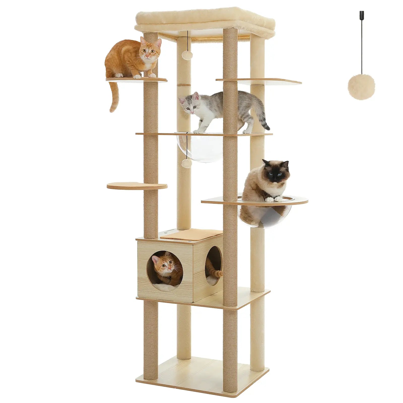 MANOIR™ — Arbre à Chat XXL Multi-Niveaux