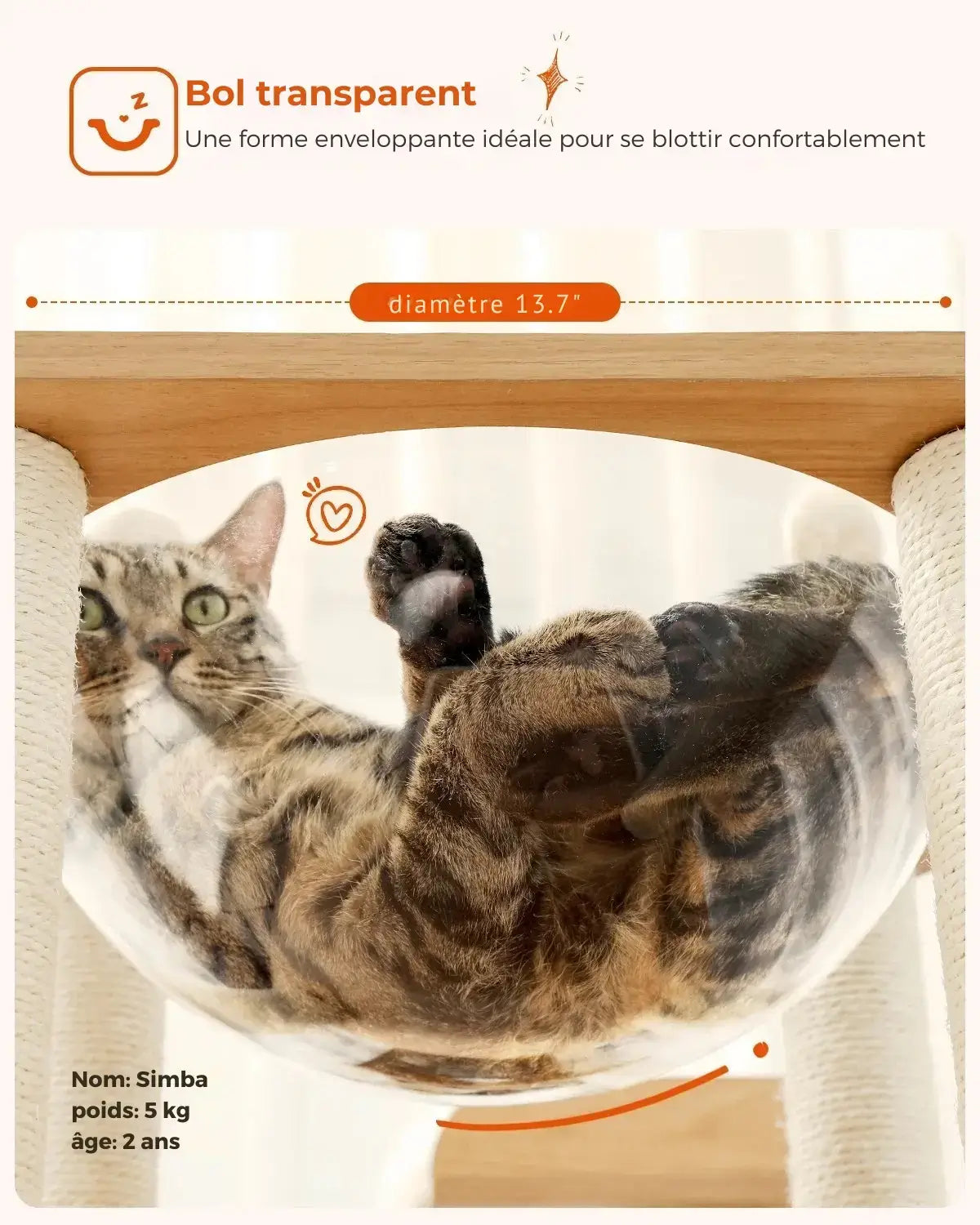 Arbre à chat design