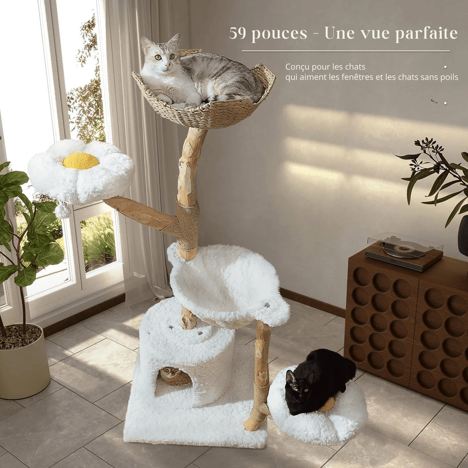 SAFARI™ — Arbre à chat en bois naturel avec hamacs & plateformes douillettes