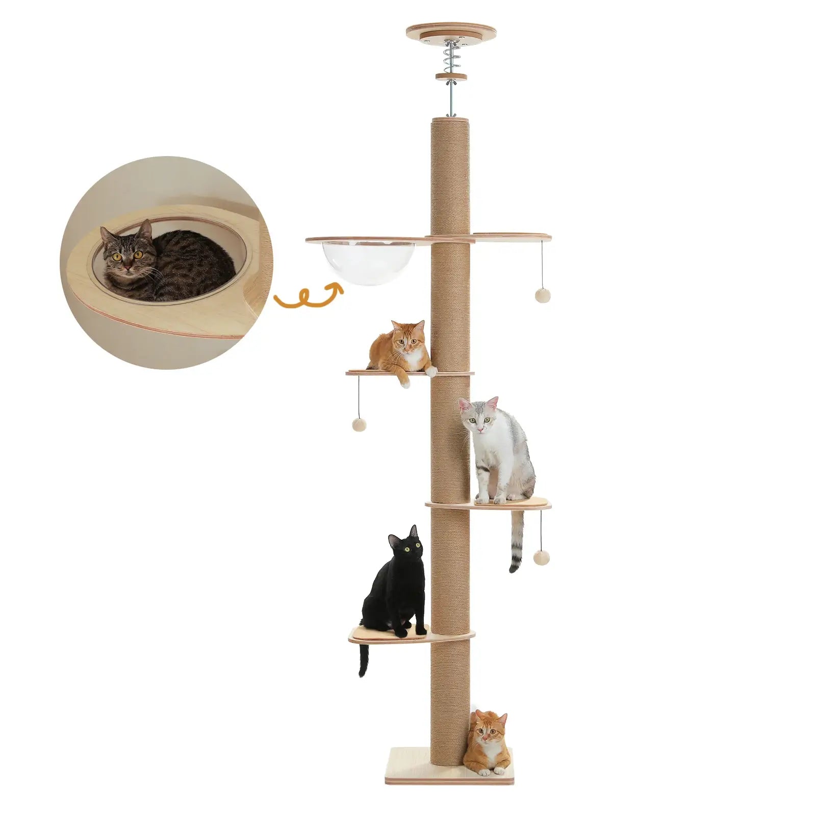 arbre a chat mural