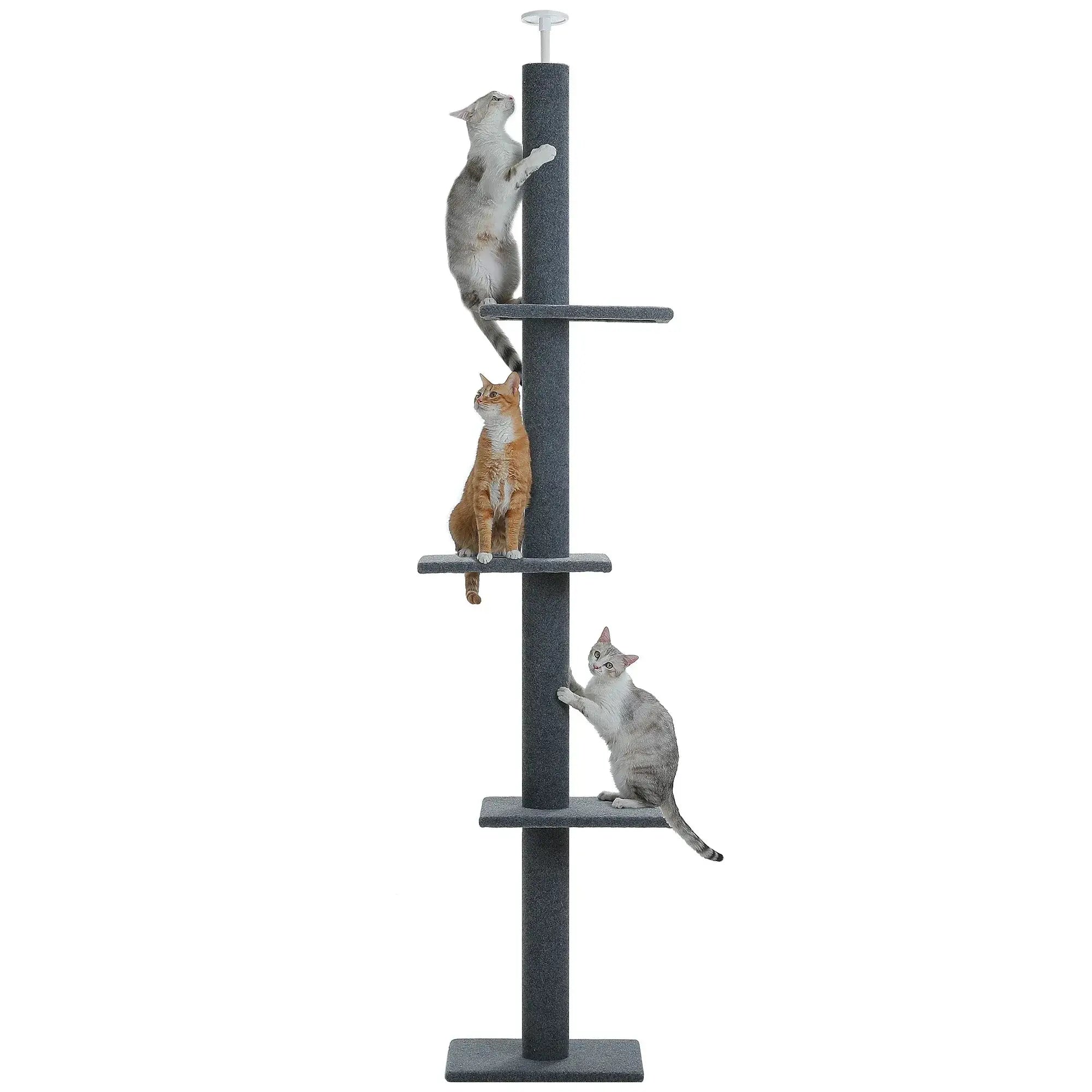 ZÉNITH™ — Arbre à Chat Sol-Plafond XXL Design Stable & Ultra Résistant