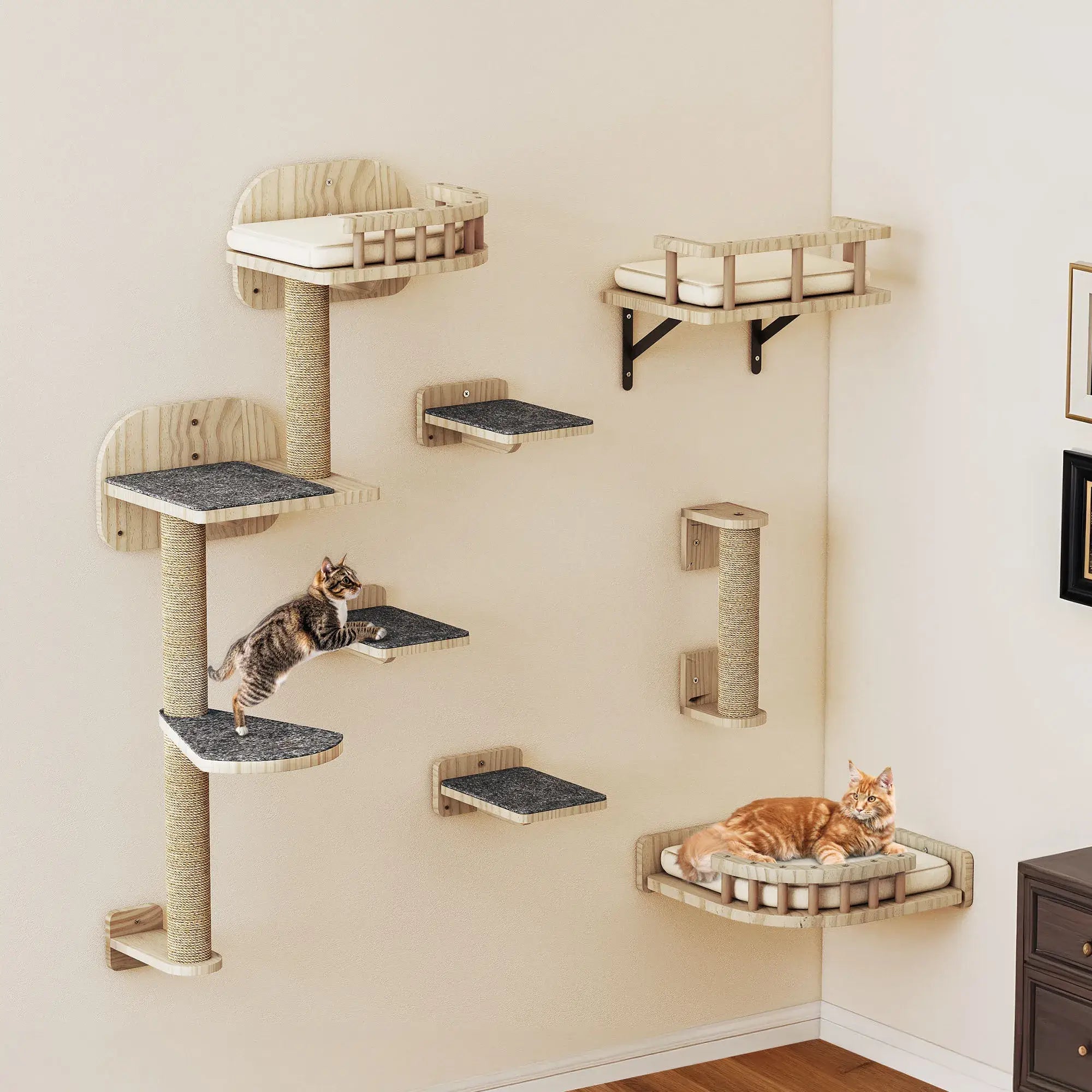 FACETTE™ – Parcours Mural Chat Bois Design | Arbre à Chat Mural Premium