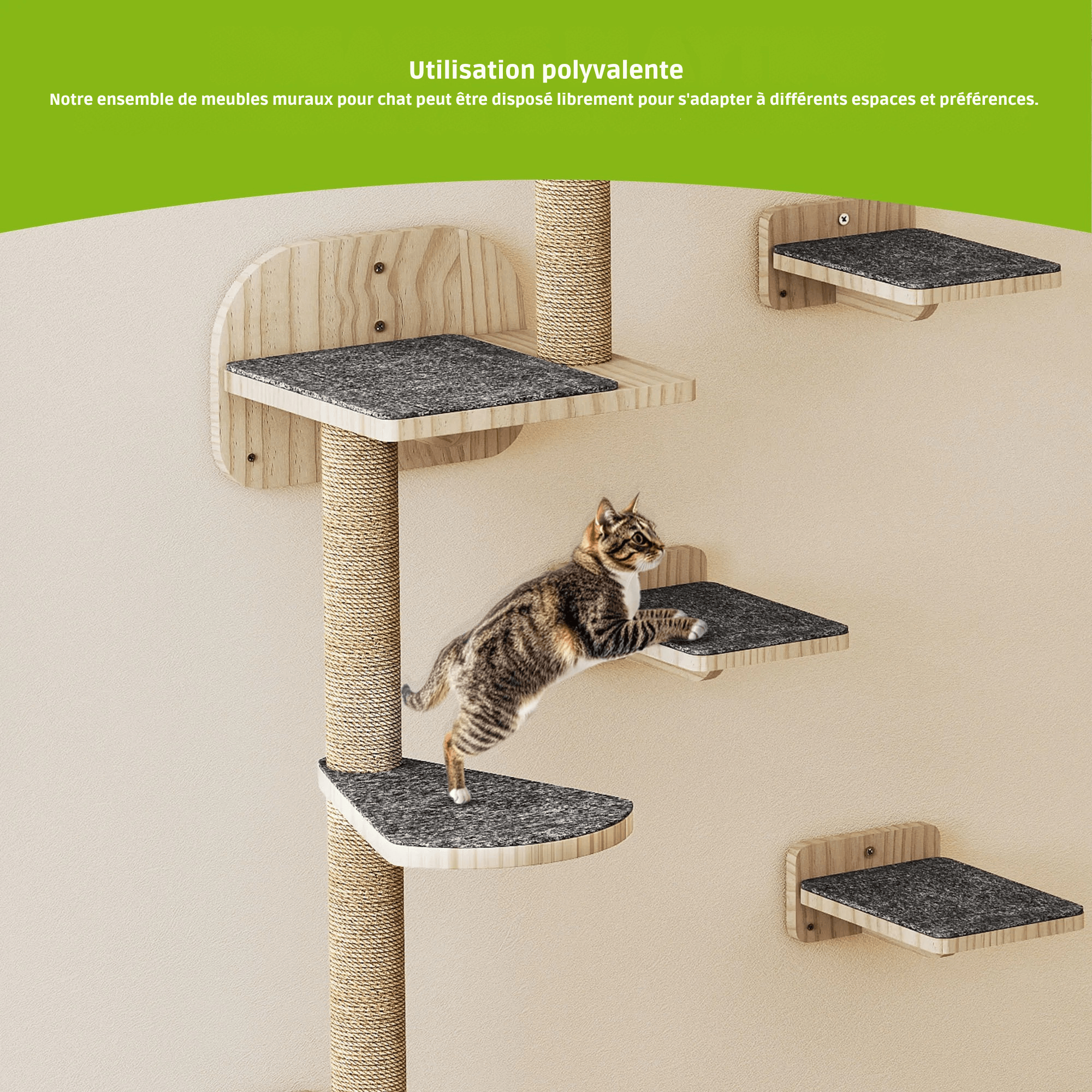 FACETTE™ – Parcours Mural Chat Bois Design | Arbre à Chat Mural Premium