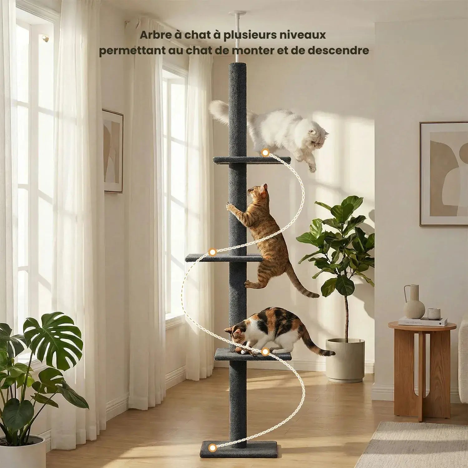 ZÉNITH™ — Arbre à Chat Sol-Plafond XXL Design Stable & Ultra Résistant