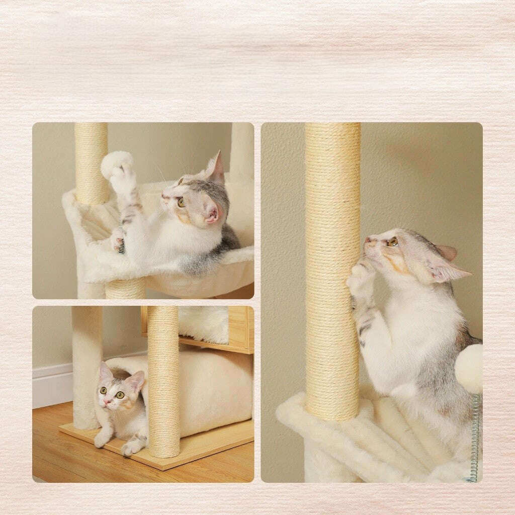 VÉGA™ — Arbre à Chat Sol-Plafond