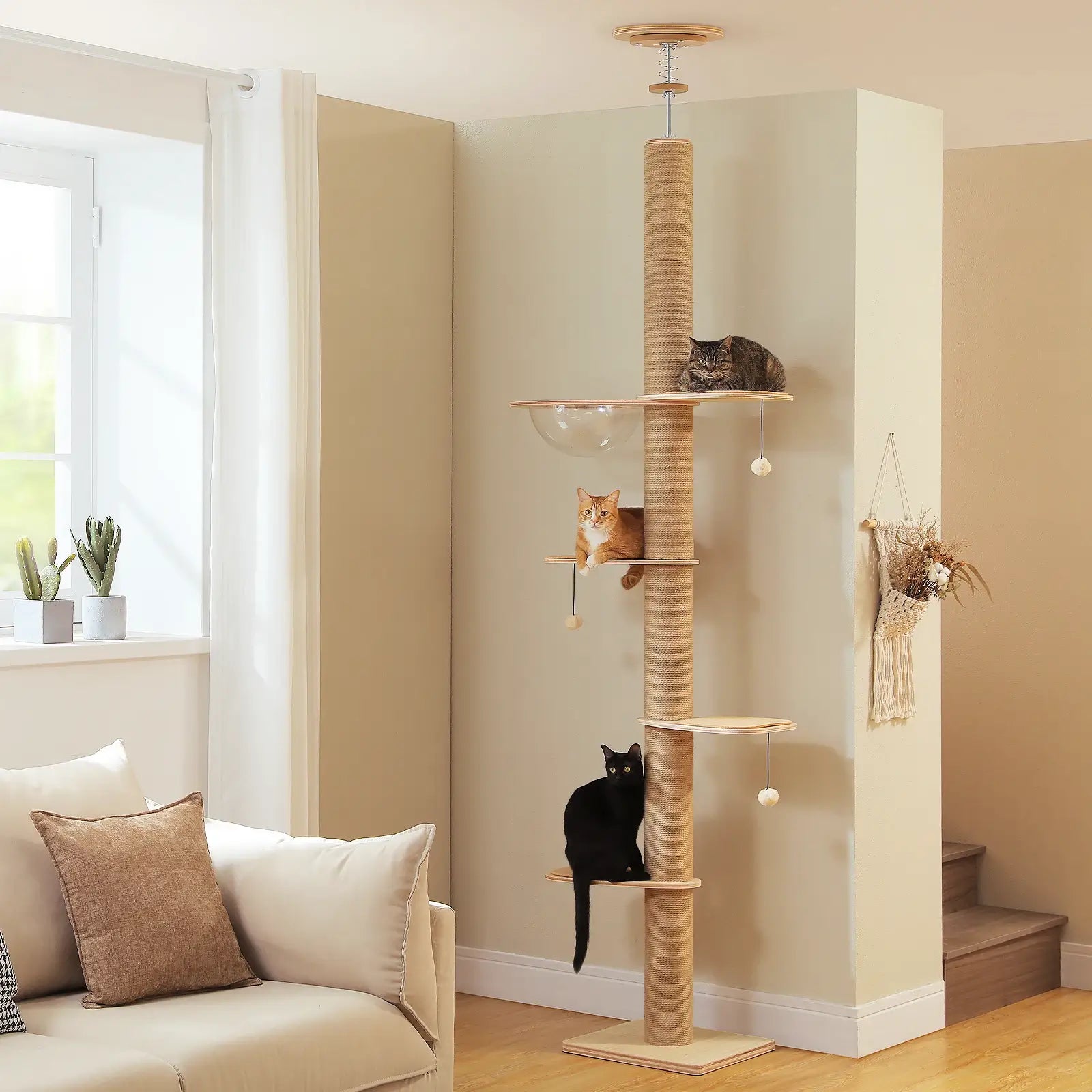 Arbre à Chat