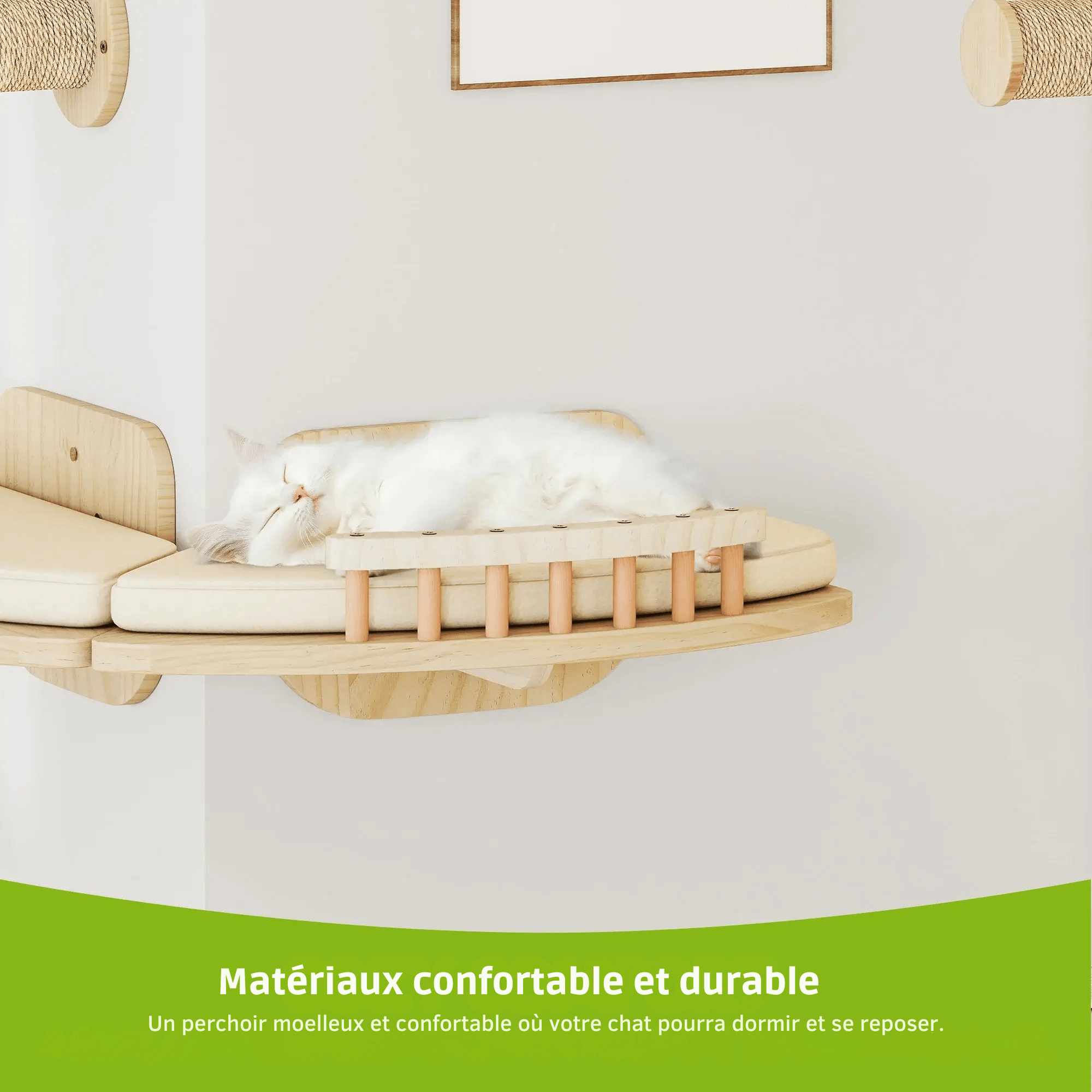 VERTEX™ — Parcours Mural Félin Design Moderne