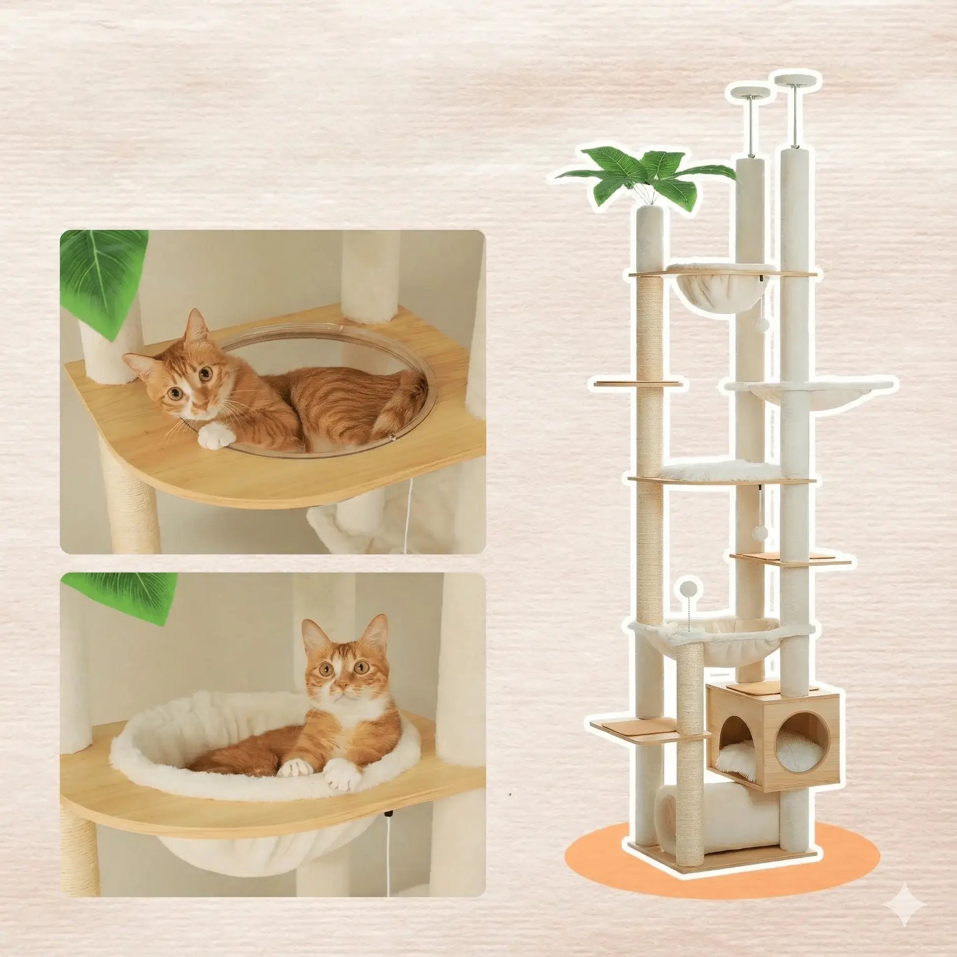 VÉGA™ — Arbre à Chat Sol-Plafond