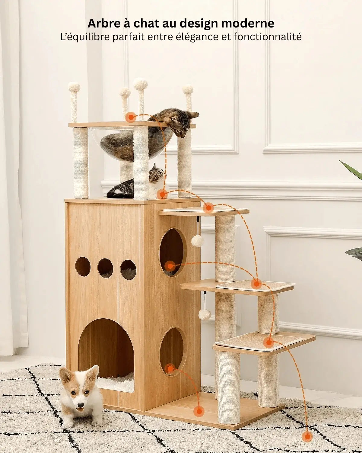 arbre a chat maine coon​

