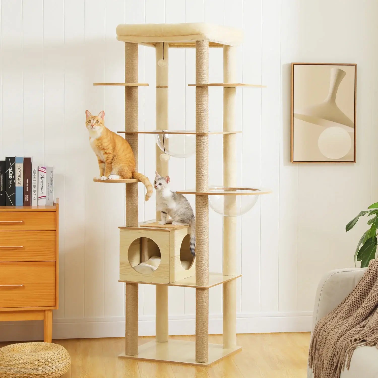 MANOIR™ — Arbre à Chat XXL Multi-Niveaux