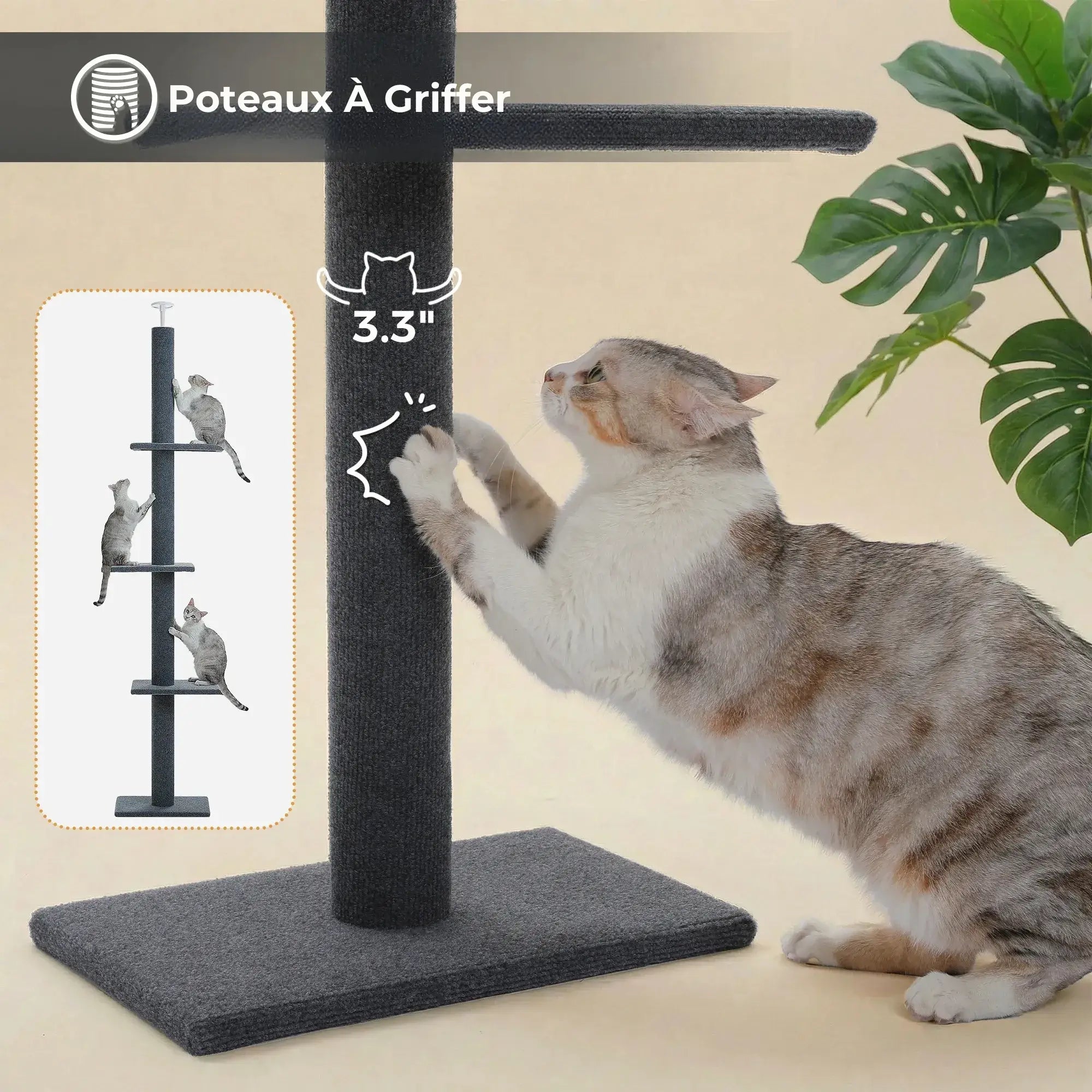 ZÉNITH™ — Arbre à Chat Sol-Plafond XXL Design Stable & Ultra Résistant