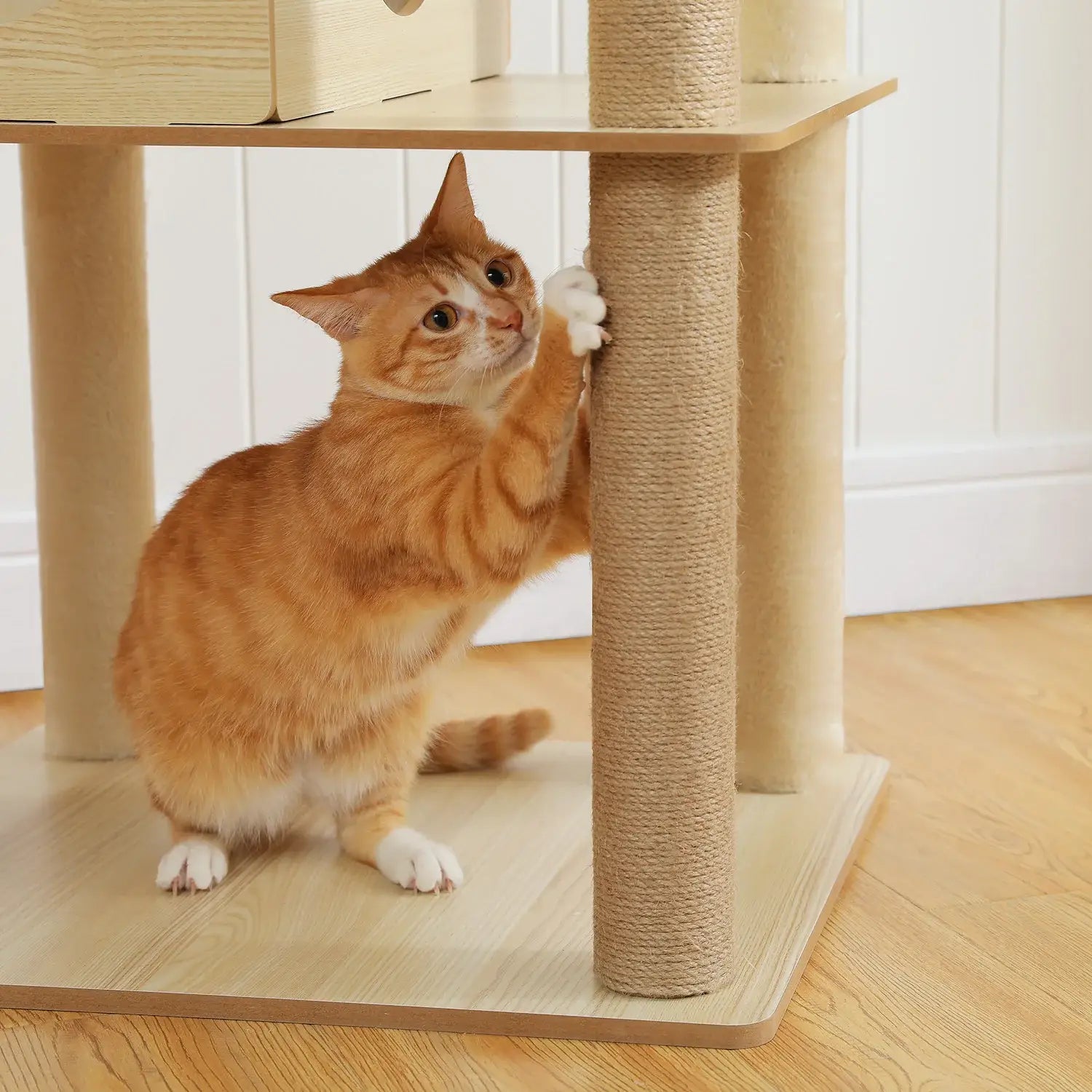 MANOIR™ — Arbre à Chat XXL Multi-Niveaux