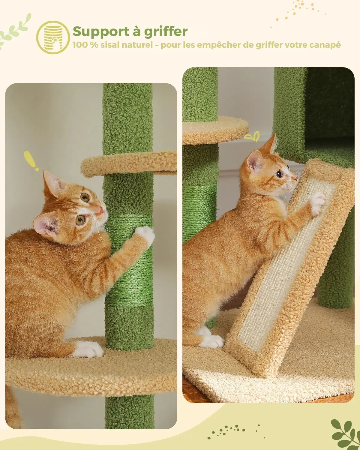 ZÉNITH™ — Arbre à chat sol-plafond design multi-niveaux