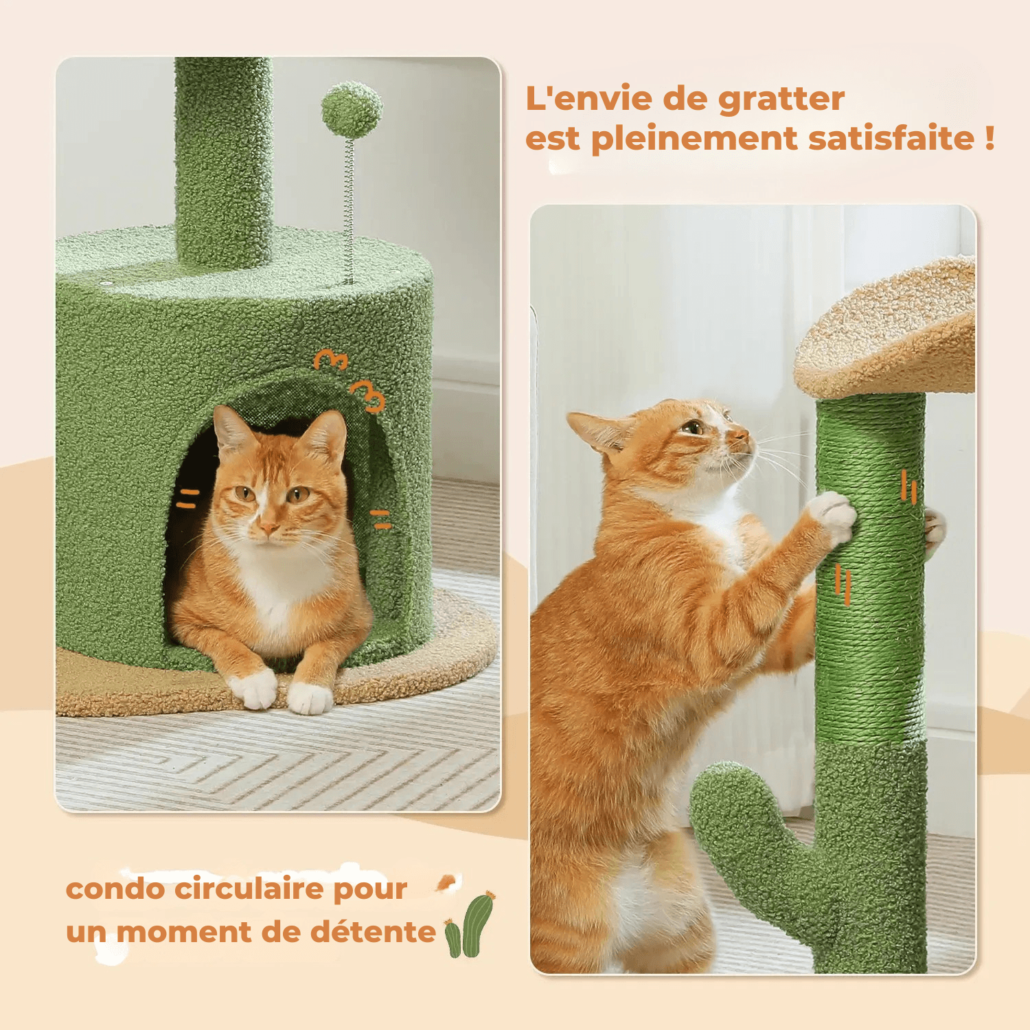Arbre à Chat Design
