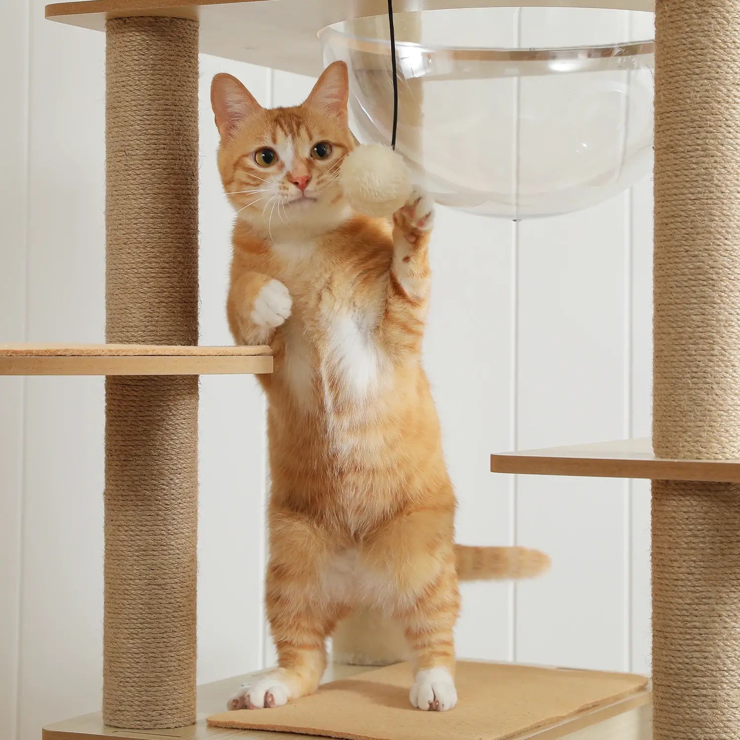 MANOIR™ — Arbre à Chat XXL Multi-Niveaux