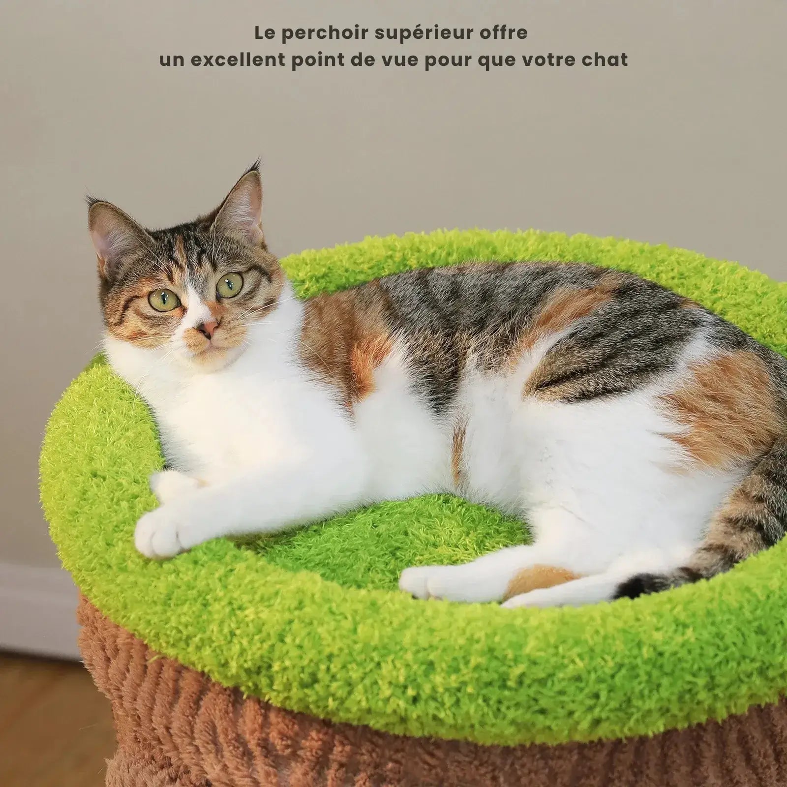 FLORA™ — Arbre à Chat Fleuri en Bois Naturel avec Condo & Plateformes Douces