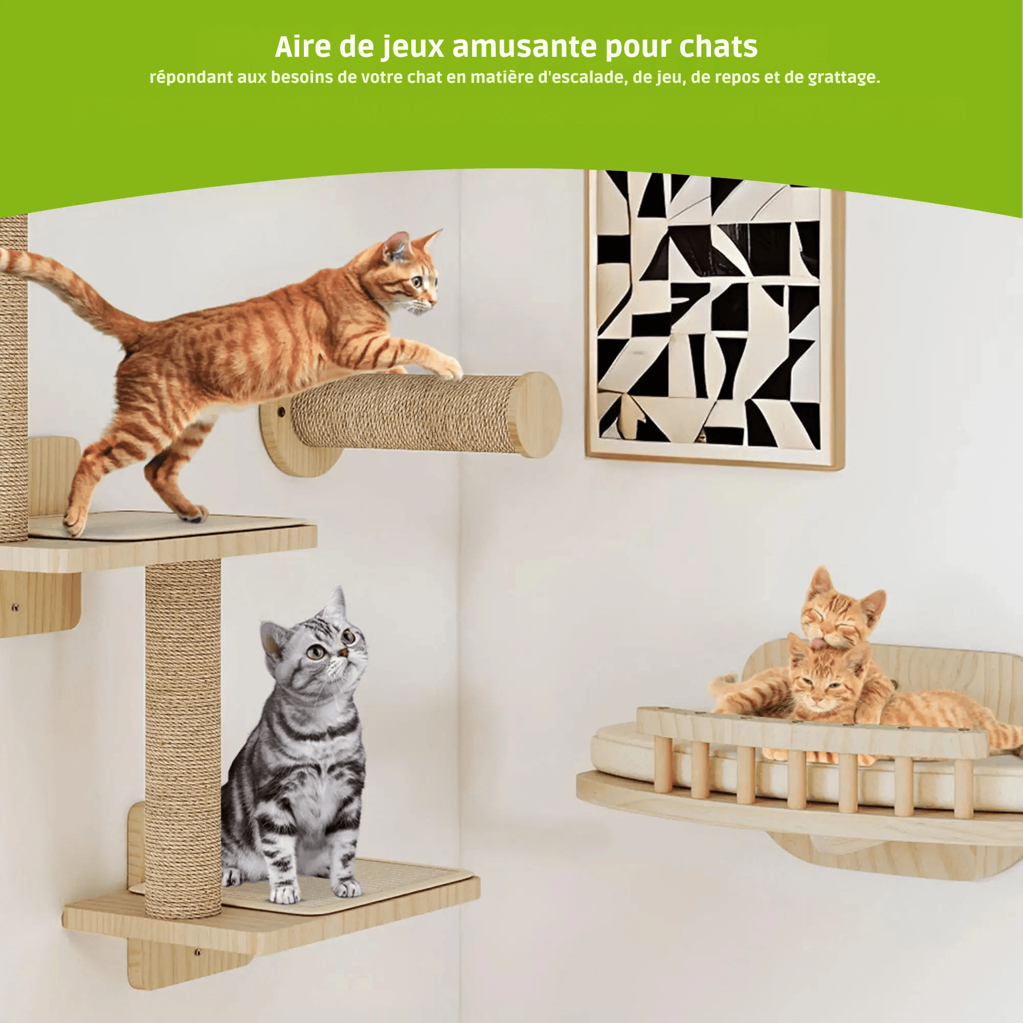 VERTEX™ — Parcours Mural Félin Design Moderne