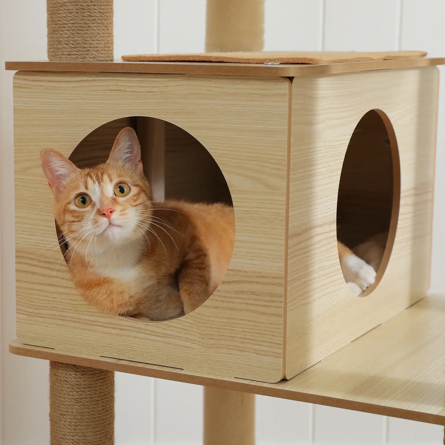 MANOIR™ — Arbre à Chat XXL Multi-Niveaux