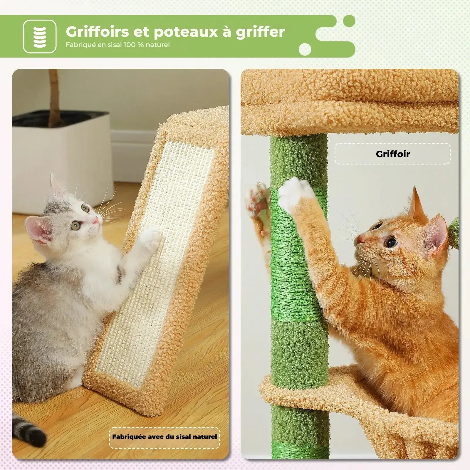 arbre a chat