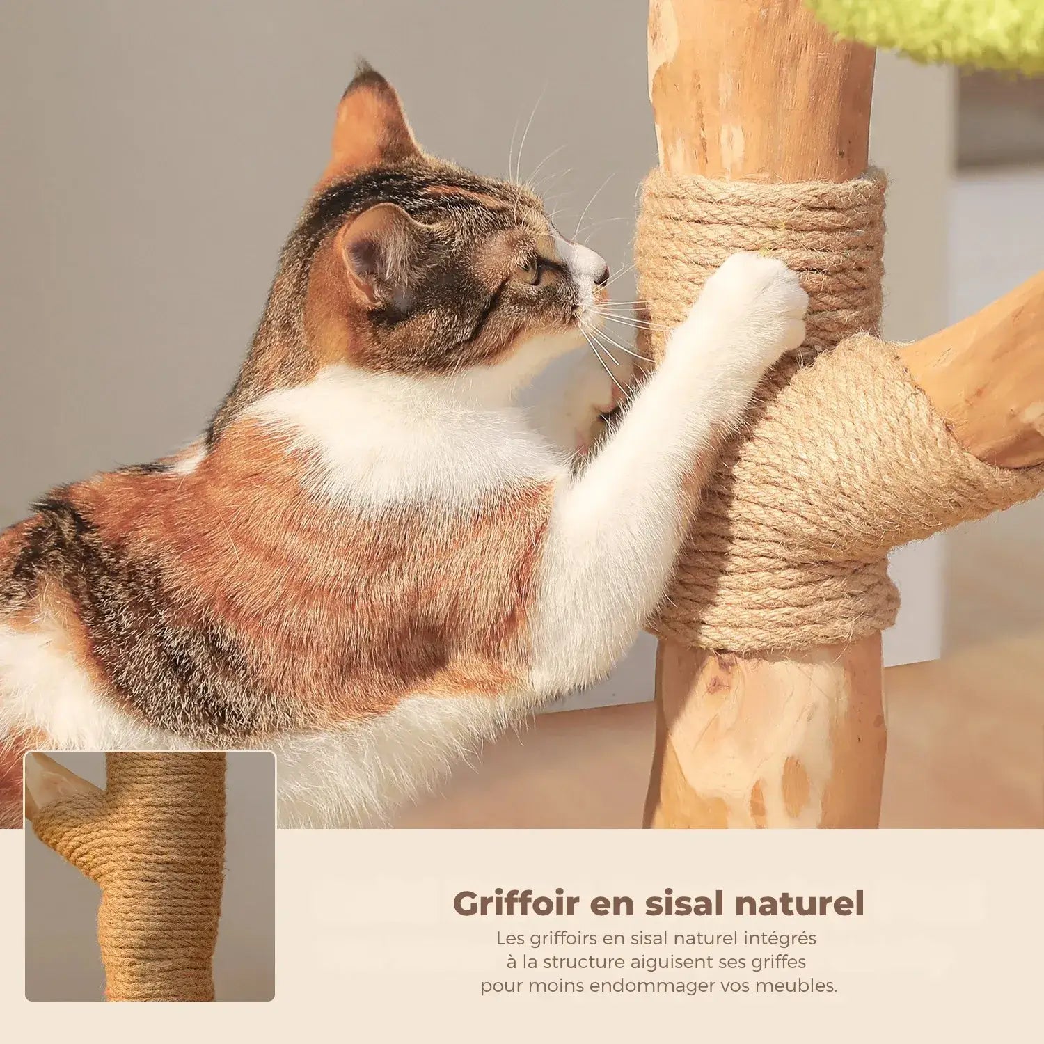 FLORA™ — Arbre à Chat Fleuri en Bois Naturel avec Condo & Plateformes Douces