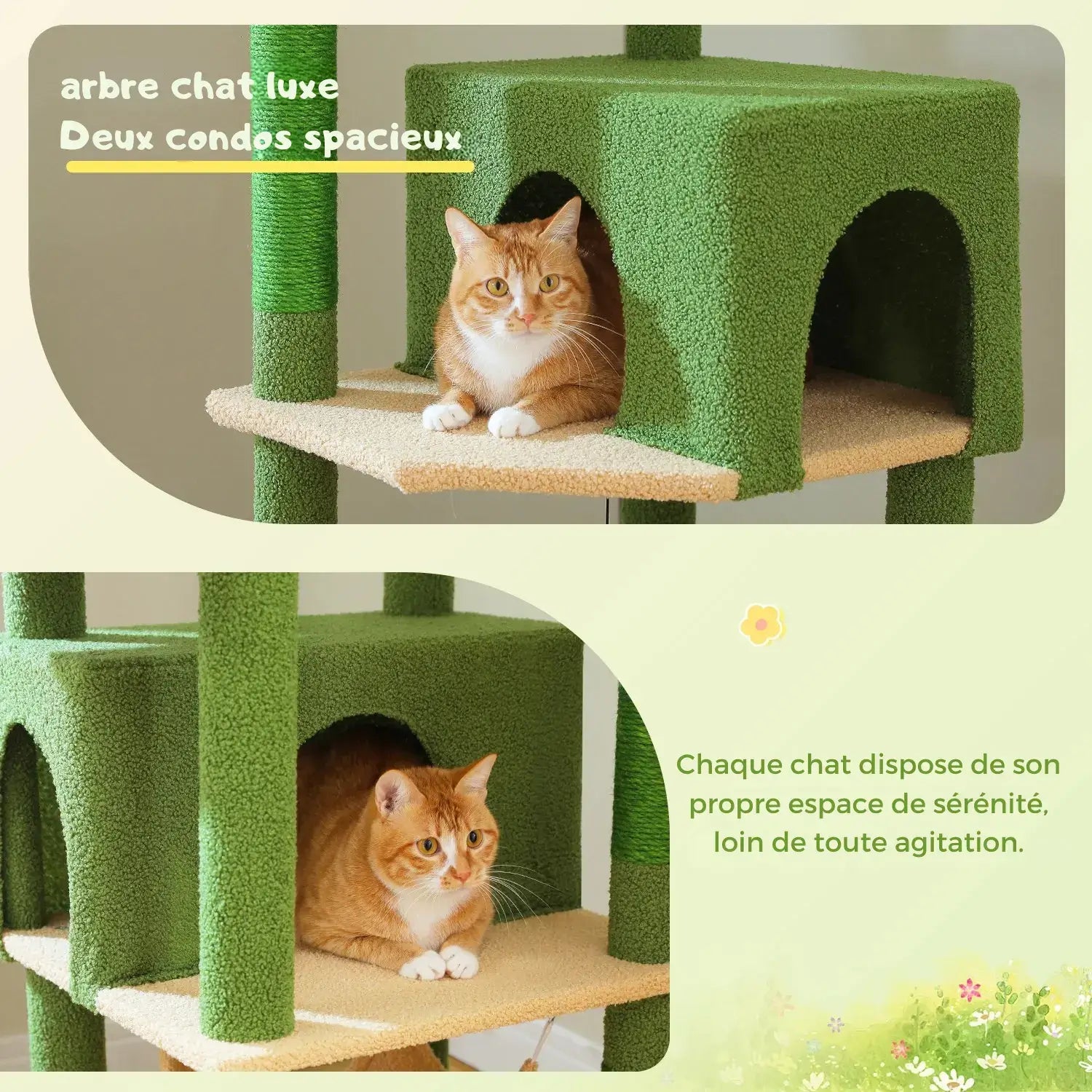 EMPIRE™ — Arbre à Chat XXL Signature Multi-Niveaux