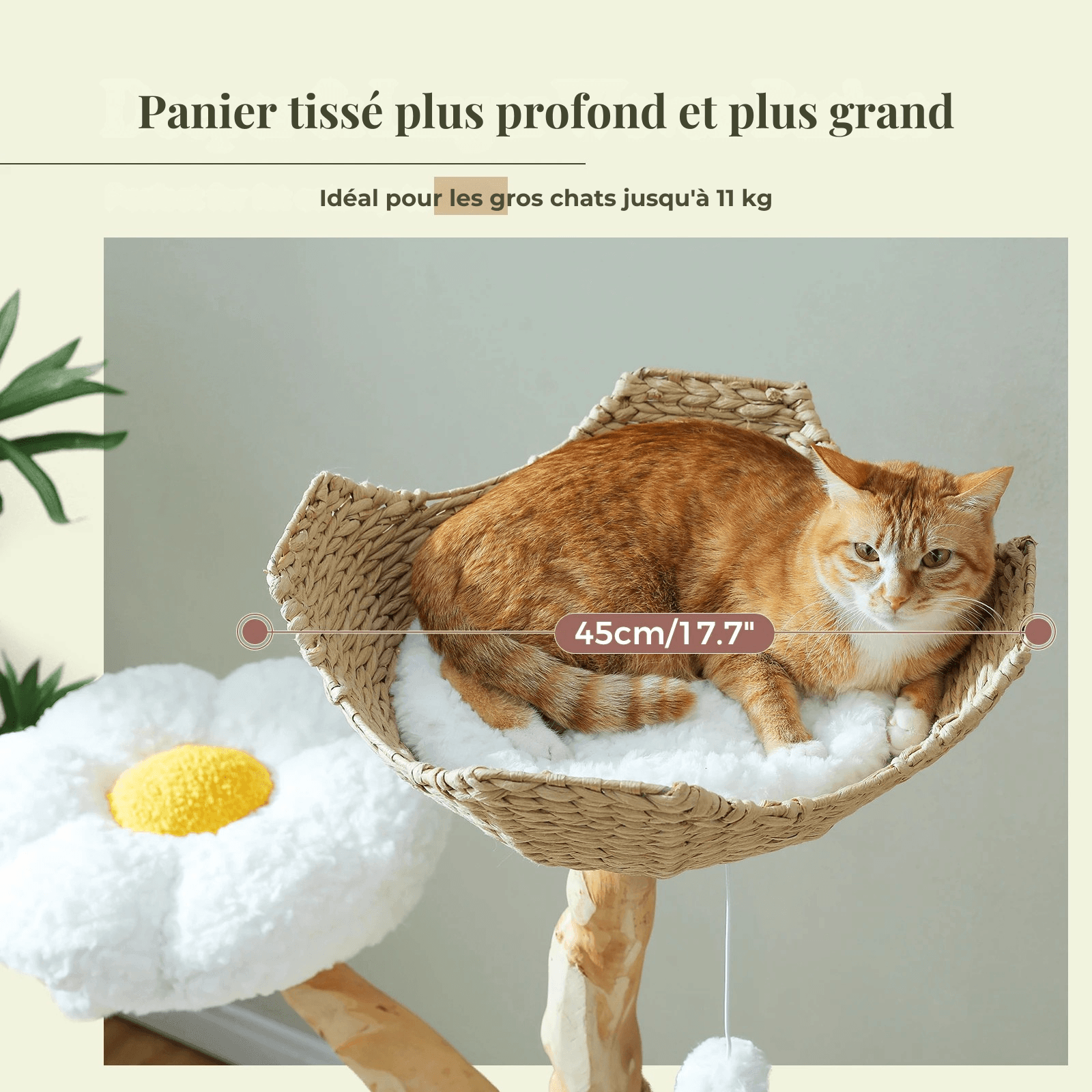 SAFARI™ — Arbre à chat en bois naturel avec hamacs & plateformes douillettes